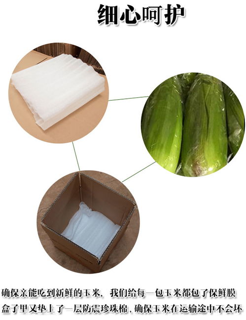 專業(yè)平面設(shè)計指南 打造“彩云好果果”淘寶店鋪裝修與產(chǎn)品詳情頁